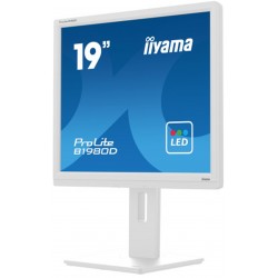 MONITOR 19" IIYAMA PROLITE B1980D-W5 SXGA VGA DVI Altura, Pivote,BLANCO