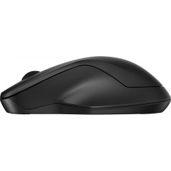 HP INC HP 255 DUAL WRLS MOUSE·