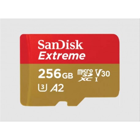 MICRO SD 256GB SANDISK EXTREME MICROSDXC UHS-I CLASE·