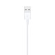 APPLE LIGHTNING TO USB CABLE (1M)·