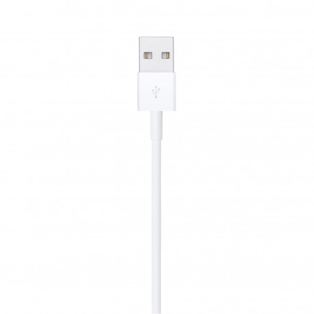 APPLE LIGHTNING TO USB CABLE (1M)·